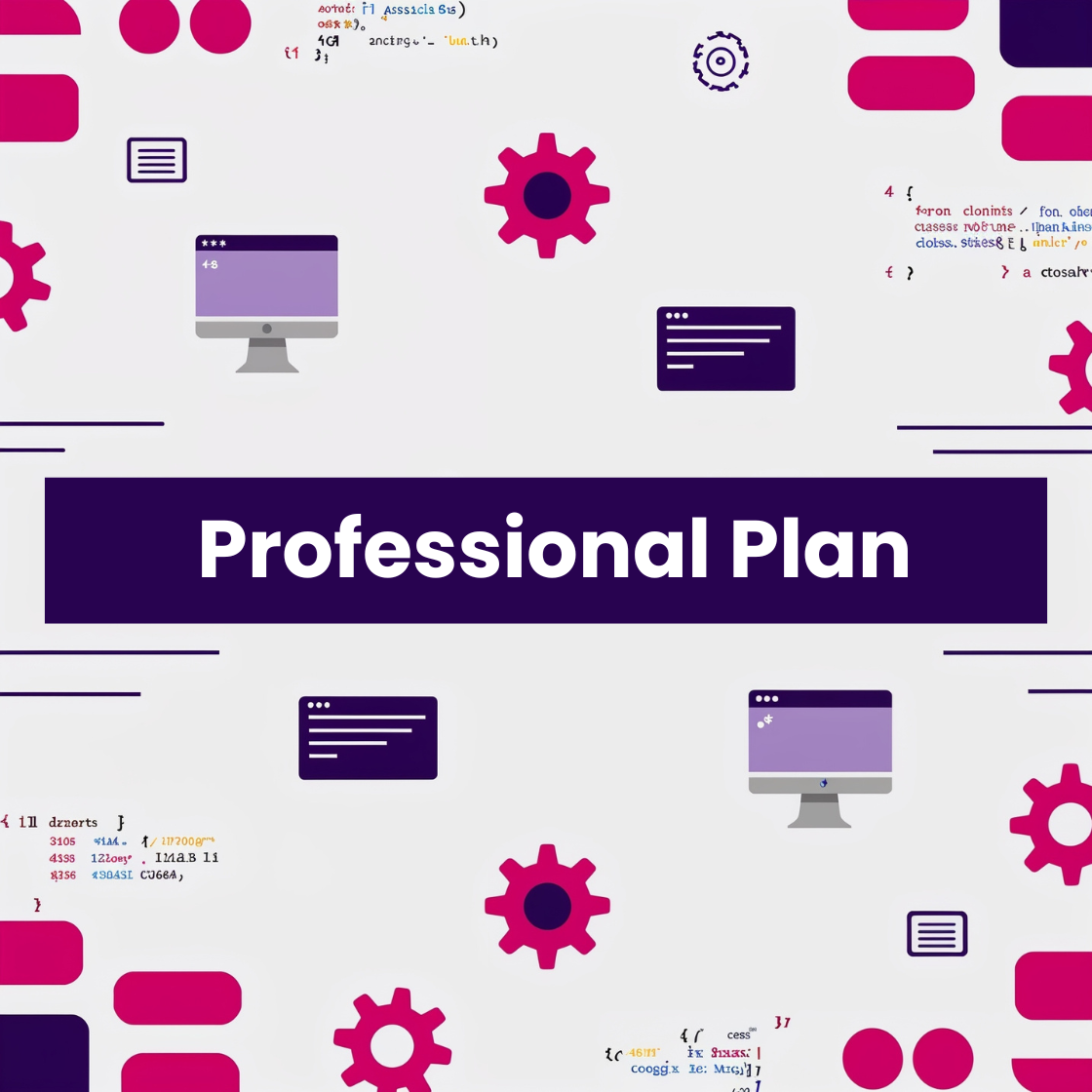 Professional Plan